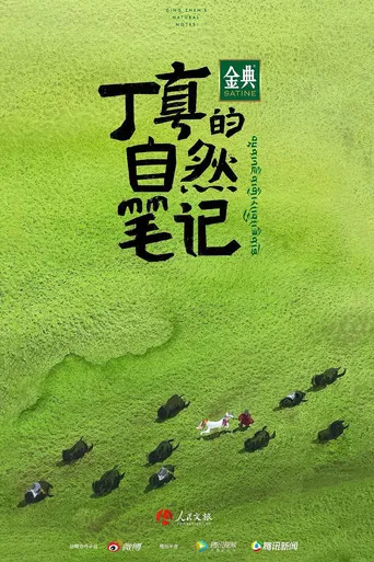 丁真的自然笔记 poster