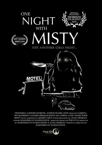 One Night with Misty poster