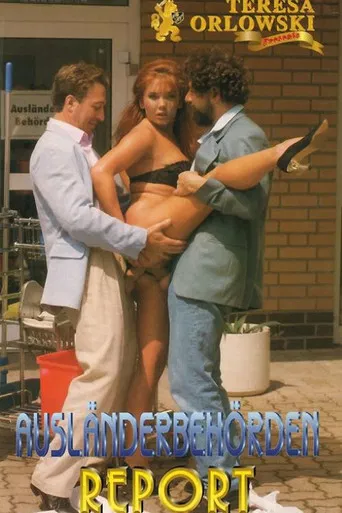 Ausländerbehörden Report poster