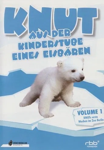 Knut - Aus der Kinderstube eines Eisbären poster