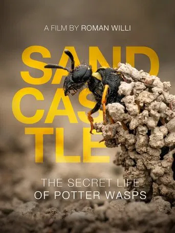 Sandcastle - The Secret Life Of Potter Wasps poster