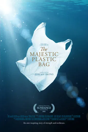 The Majestic Plastic Bag poster