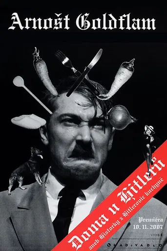 Doma u Hitlerů poster