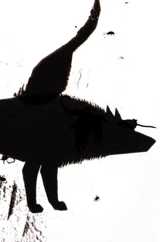 From Under Which Rock Did They Crawl Out poster