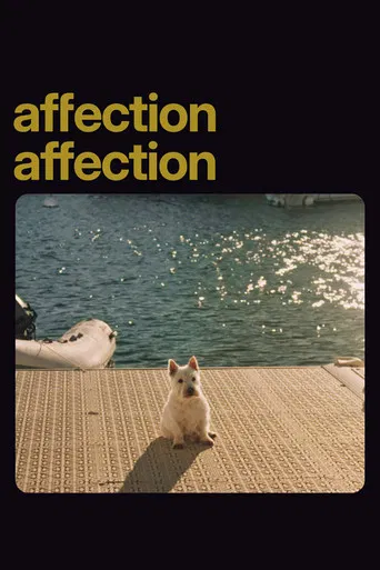 Affection Affection poster