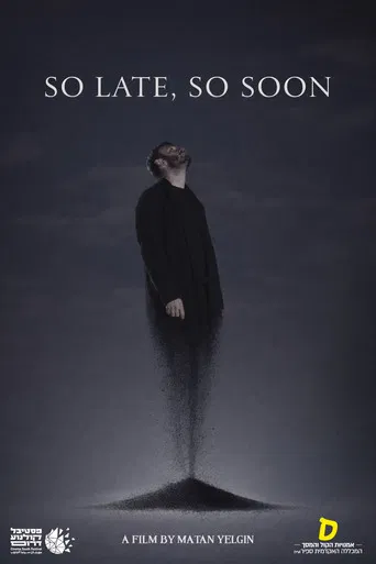 SO LATE, SO SOON poster