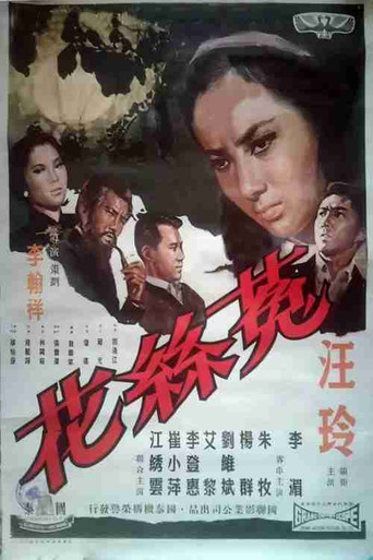菟丝花 poster