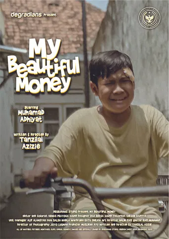 My Beautiful Money poster