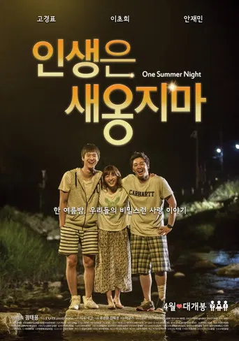 One Summer Night poster