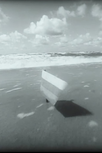 Should I bring in "Antį" now? poster