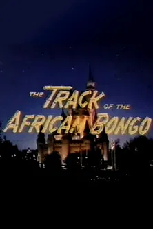 The Track of the African Bongo poster