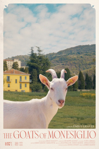 The Goats of Monesiglio poster