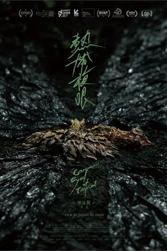 Compound Eyes of Tropical poster