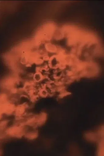 Notes from the Farm poster