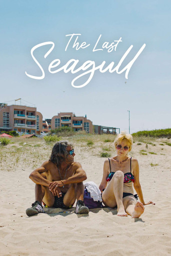 The Last Seagull poster