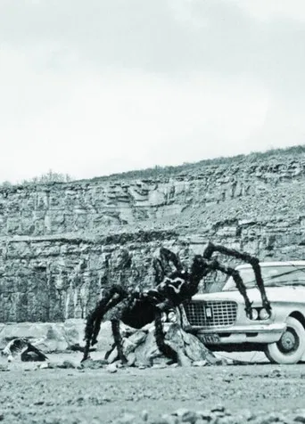 As Long as the Stratified Animal Lights Up poster