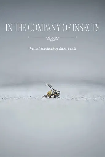 In the Company of Insects poster