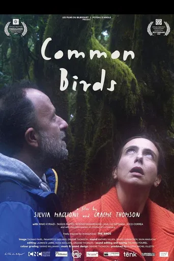 Common Birds poster