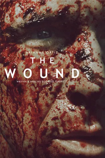 The Wound poster