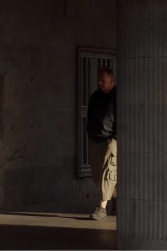 The Perfect Spectator poster