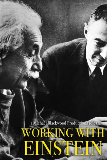 Working with Einstein poster
