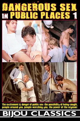 Dangerous Sex in Public Places 1 poster