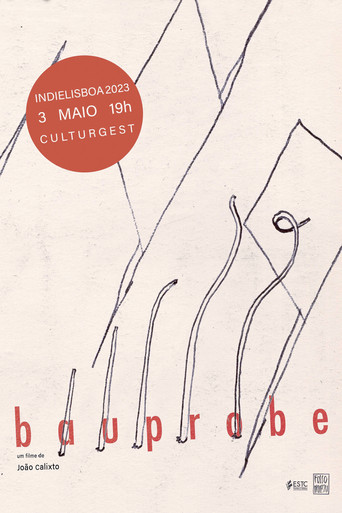 BAUPROBE poster