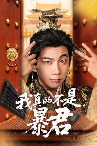 我真的不是暴君 poster