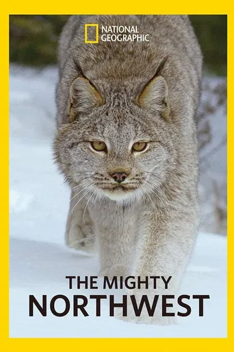 The Mighty Northwest poster