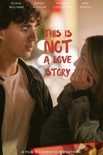 This Is Not a Love Story poster