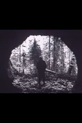 In the canyons of the river Berezovaya poster