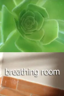 Breathing Room poster