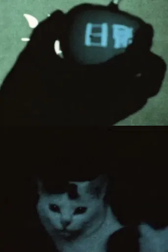 some days ago poster