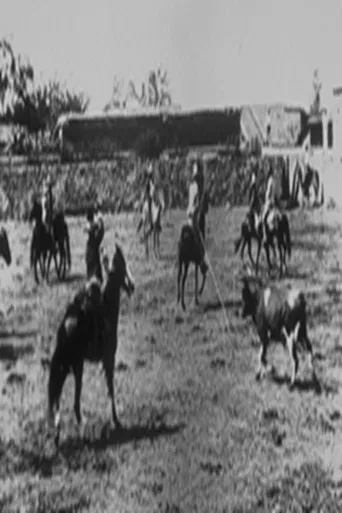 Lassage d'un boeuf sauvage poster