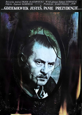 Wherever You Are, Mr. President poster