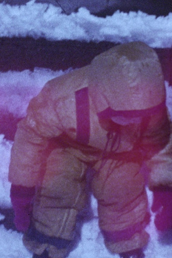 Diary 1974-1975 poster