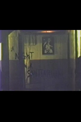 A Night in a Sanitarium poster