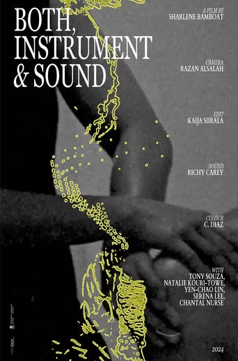 Both, Instrument & Sound poster