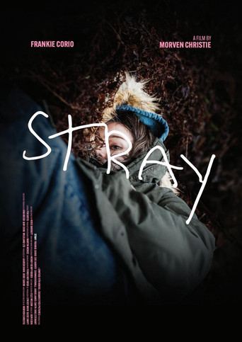 Stray poster