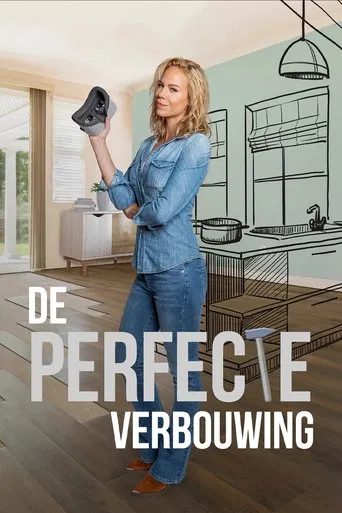 De Perfecte Verbouwing poster