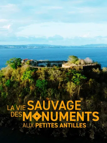 La vie sauvage des monuments aux Petites Antilles poster