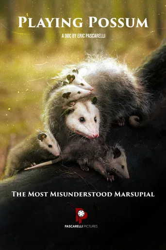 Playing Possum poster