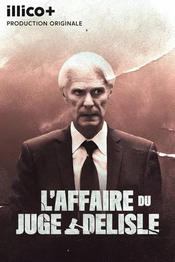 L'affaire du juge Delisle poster