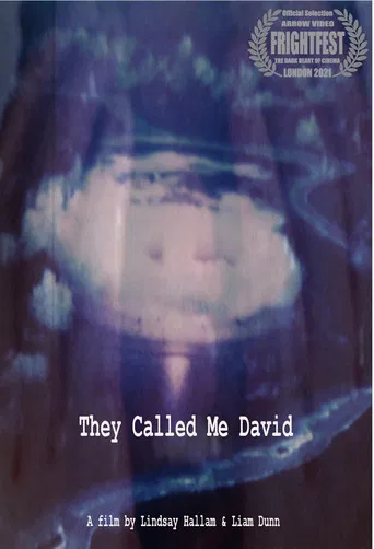 They Called Me David poster