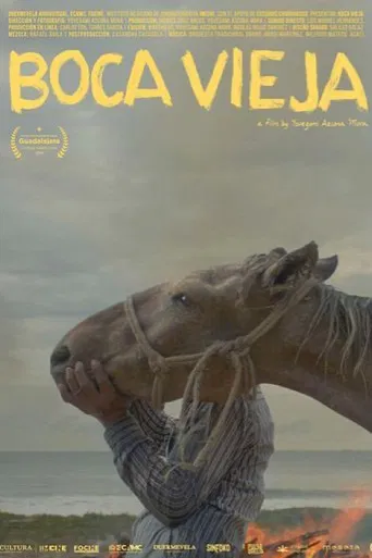 Boca Vieja poster