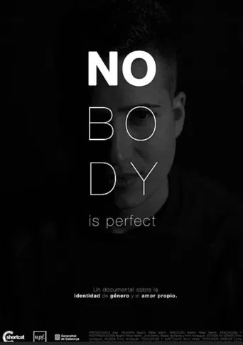 Nobody Is Perfect poster
