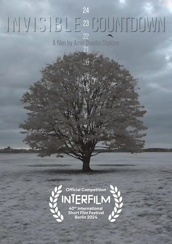 Invisible Countdown poster