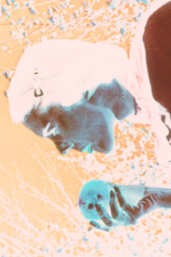 Kodachrome Love Poem poster