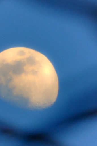 Moon Moss Wood Grain poster