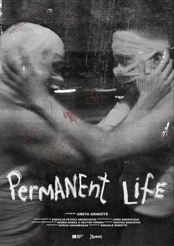 Permanent Life poster